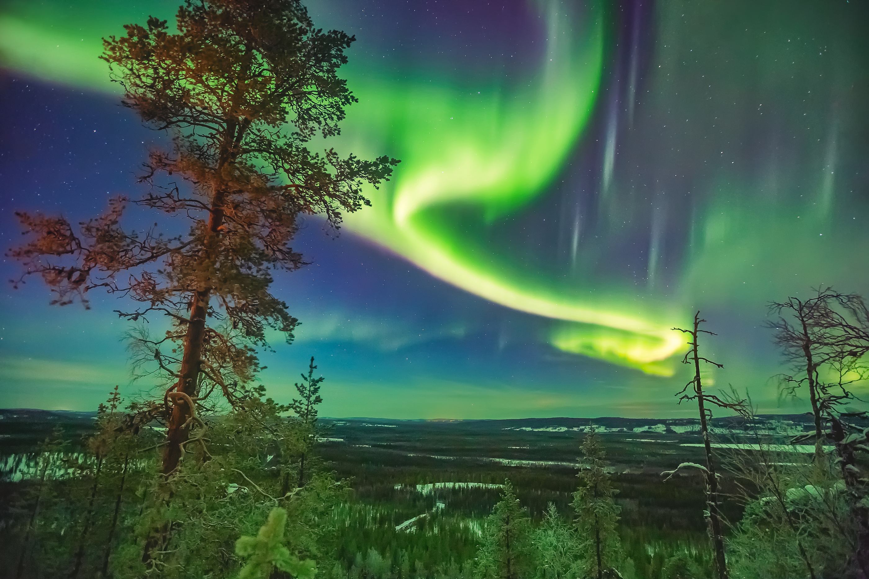 Luksushuvila / Huvila vuokraus Rovaniemi / Lappi | Ruska Chalets